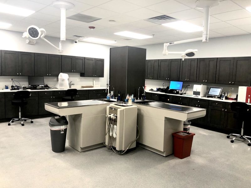 Home Happy Paws Animal Hospital